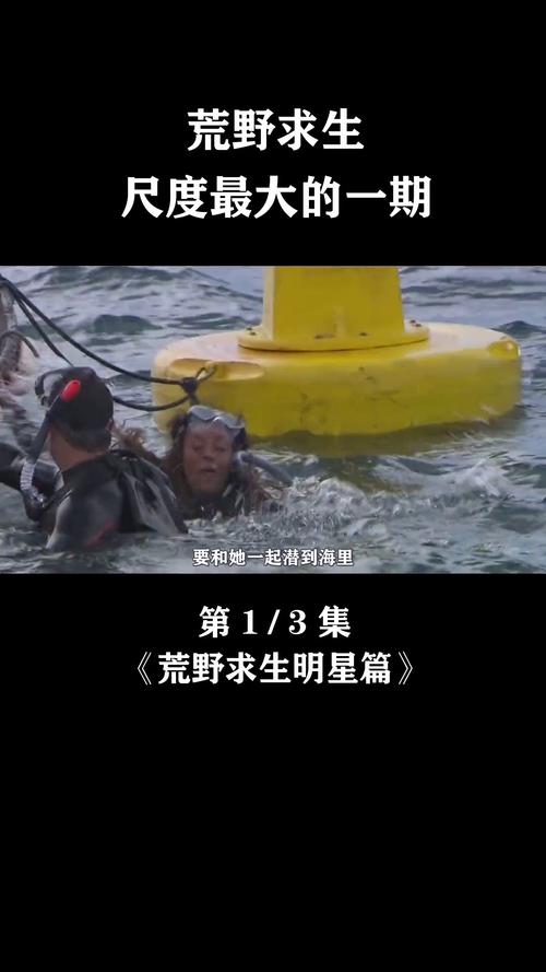 荒野奇遇:科研团队的生死时速